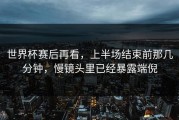 世界杯赛后再看，上半场结束前那几分钟，慢镜头里已经暴露端倪